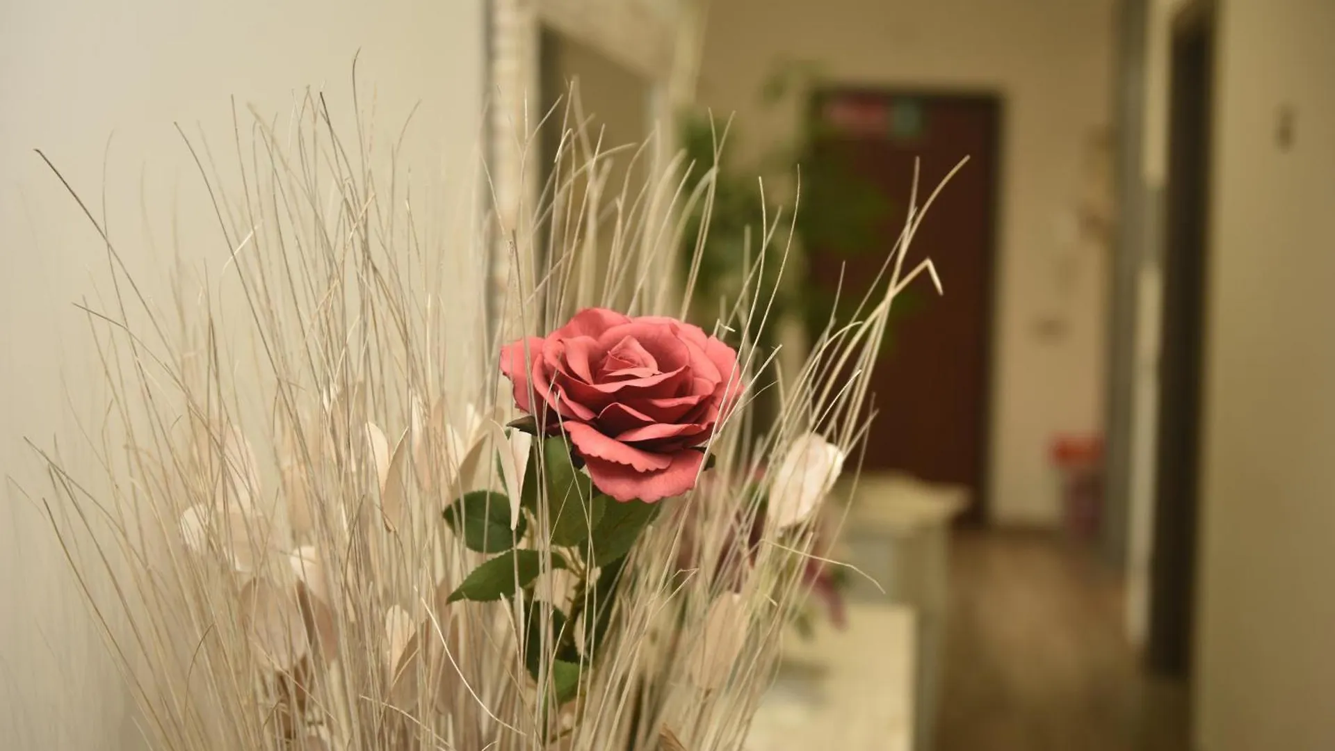 Bed and Breakfast In Terrazza Da Giusy Roma 0*,