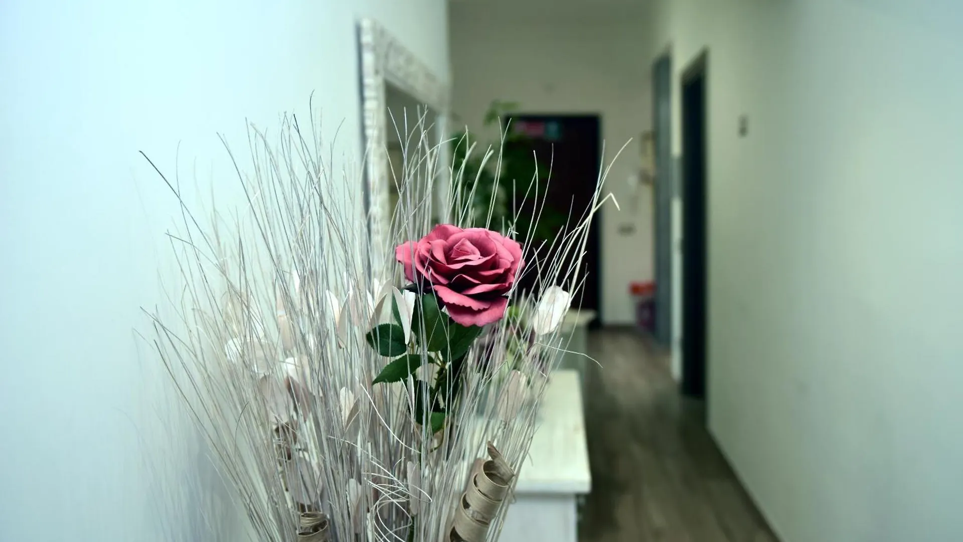 In Terrazza Da Giusy Bed & Breakfast Rome